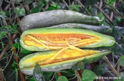 常德网红吃瓜事件,揭秘网络舆论背后的真相与反思  第2张